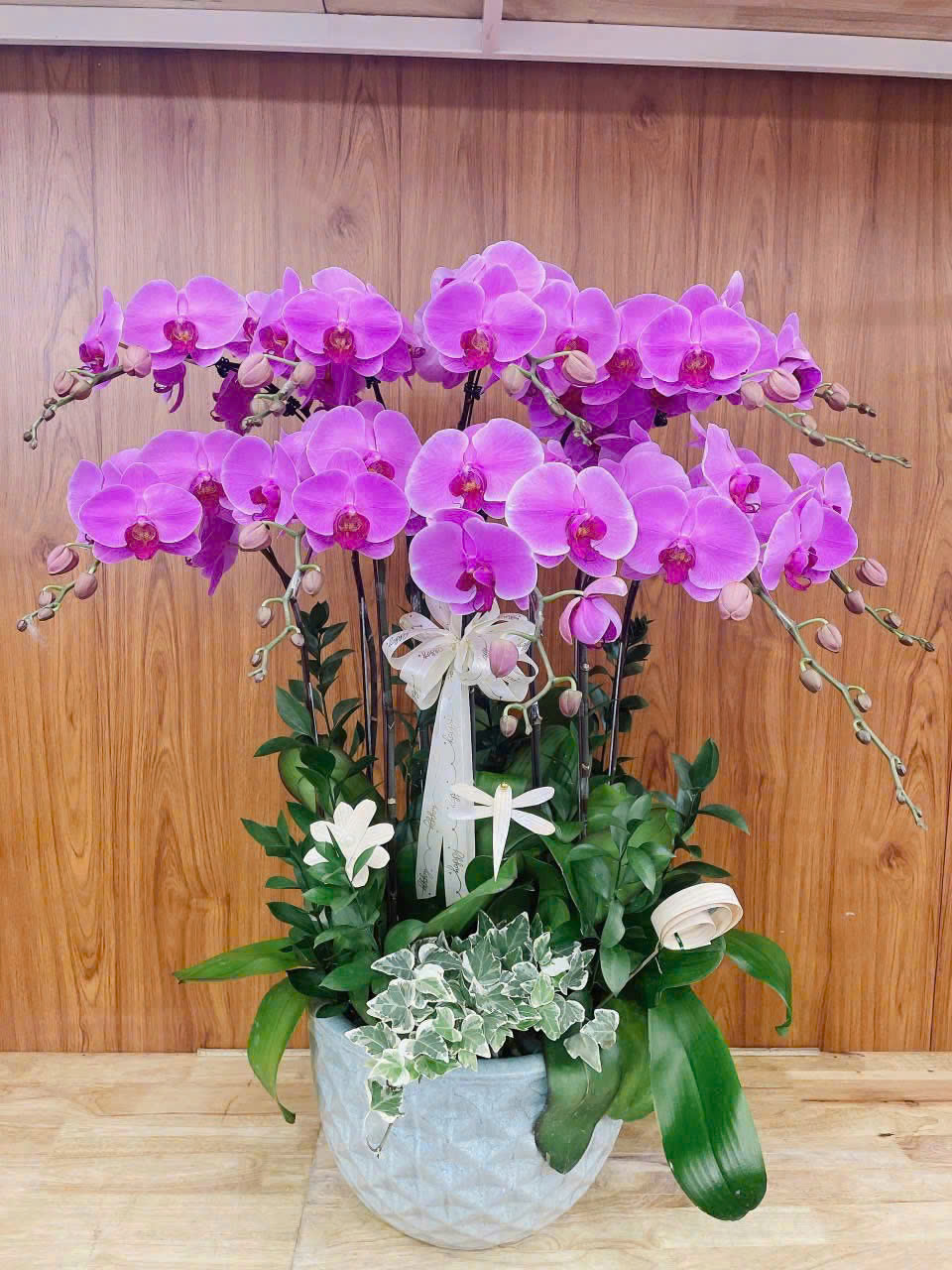 Hoa lan hồ điệp - Giao nhanh trong ngày